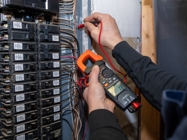 Best Electric Panel Repair  in Burlington, IA